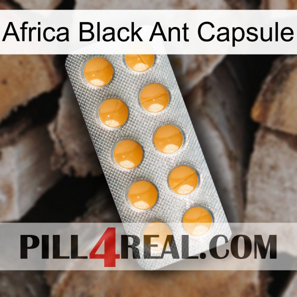 Africa Black Ant Capsule levitra1.jpg